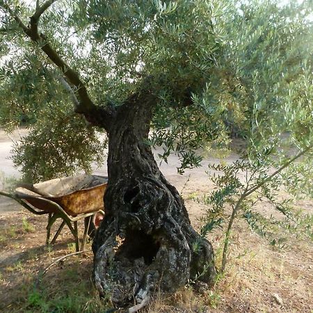 Гостьовий будинок La Aragonesa Мармолехо Екстер'єр фото