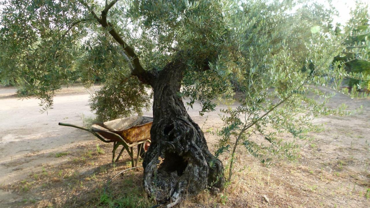 Гостьовий будинок La Aragonesa Мармолехо Екстер'єр фото